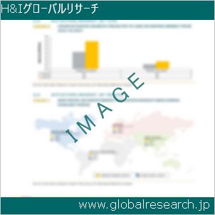 グローバルリサーチ調査レポートのイメージ
